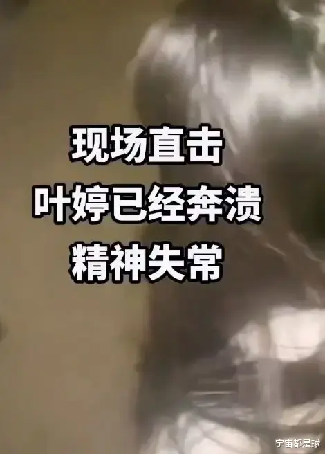 叶婷出来后精神失常,其二姐再次实名举报,让人措不及防