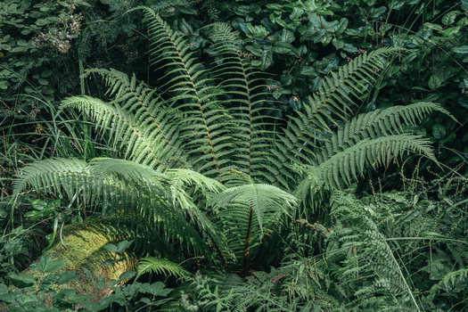 富士|这是富士胶片最好的全能镜头吗？