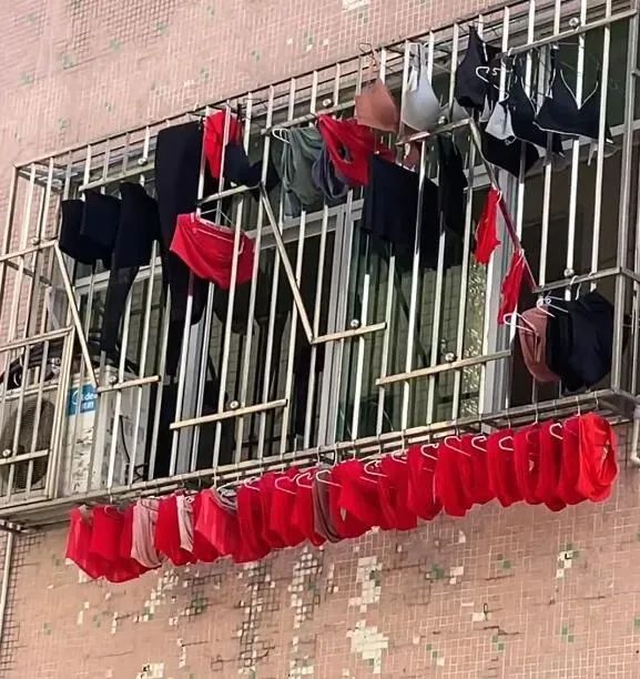 这阳台的风景真好看啊