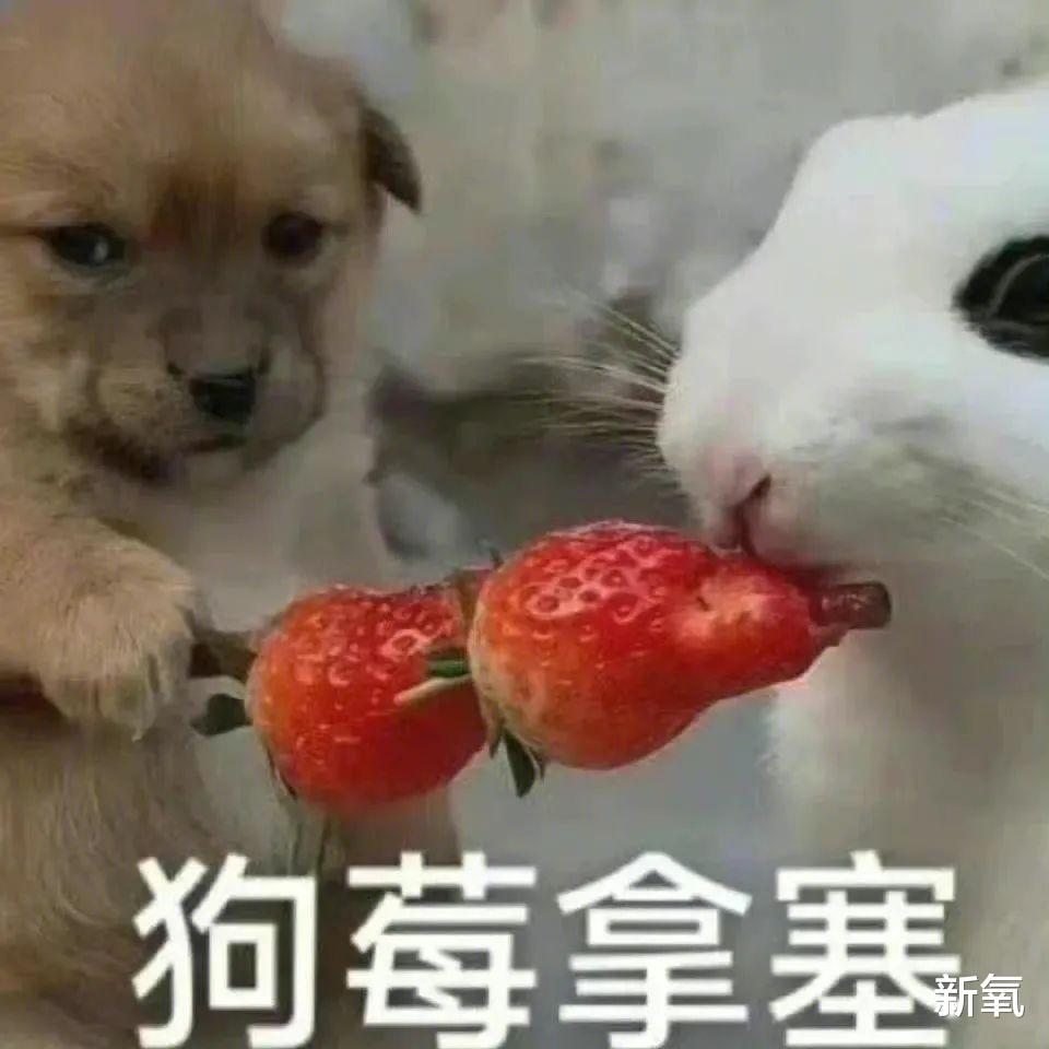 健身 不健身也能瘦！科比大女儿的“ NEAT大法”究竟是什么？
