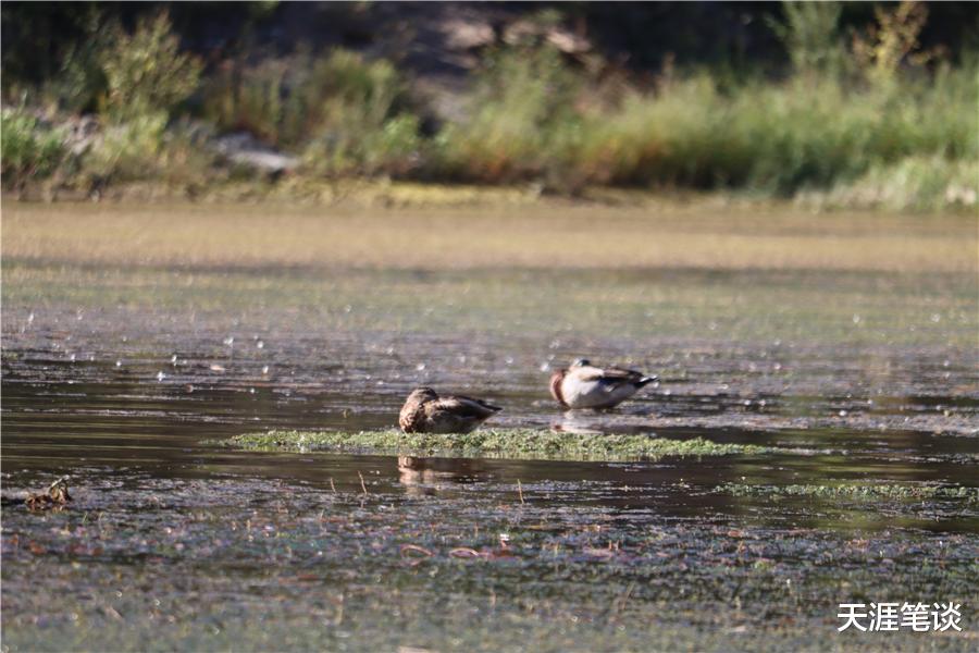 秦岭|这里美得令人心醉，风景撩人珍珠湖，铁路拱桥架南北