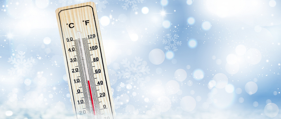 机器|日本鱼线质量好！材料研发、纺纱编制技术、涂层技术、一条龙加工