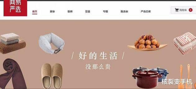 hr|为什么丁磊能把网易严选做起来？