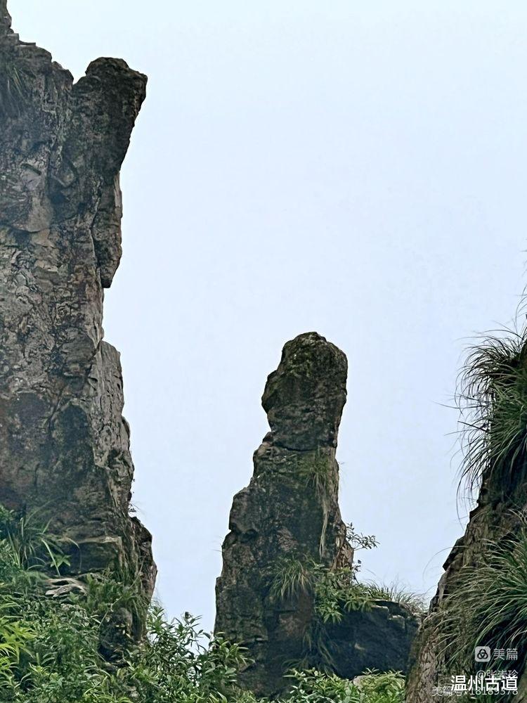 棋盘山|登顶温州12县市最高峰第六站--平阳第一高峰棋盘山和石狗山游记