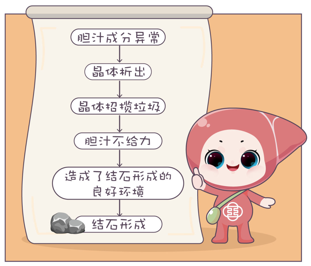 补品|结石,从来就不是突然出现的!