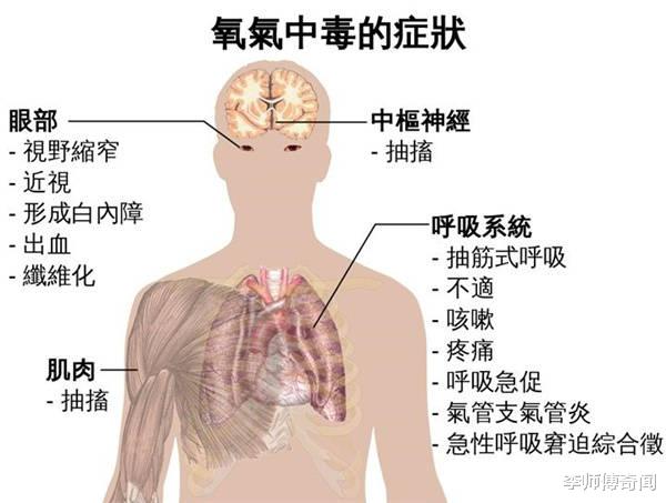 假如地球氧气含量从21%提升到90%,会发生什么?你可以骑着蜻蜓飞