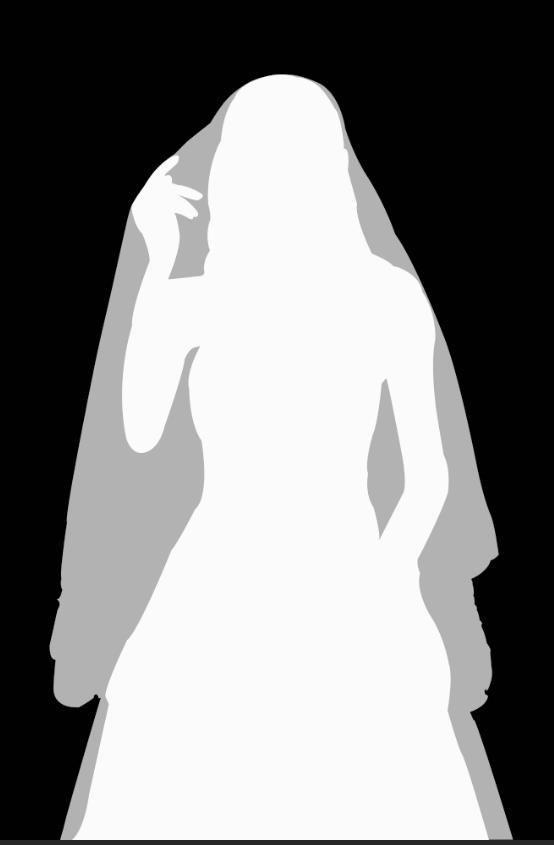 PS练习-005-扣透明婚纱