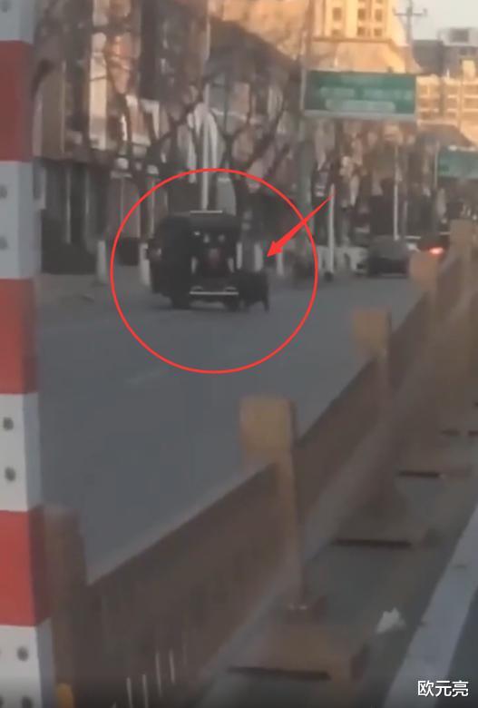 老人驾代步车肇事逃逸,被撞男子爬车顶追责,马路上表演惊心动魄