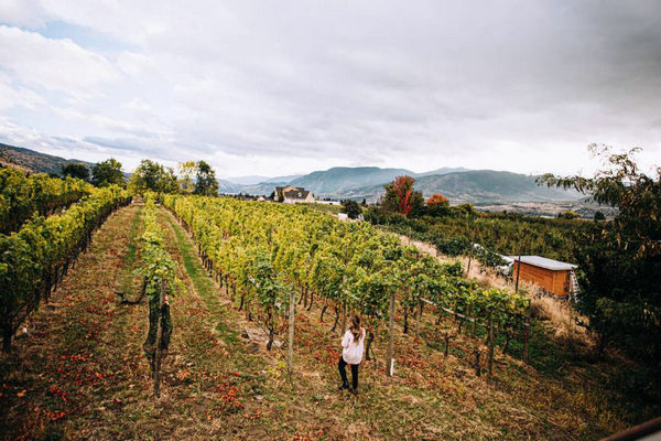 铜仁|在BC省邂逅春夏 尽享别样慢时光