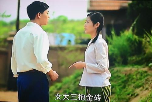 江德福|《父母爱情》:从于大光到王海洋,江亚菲的择偶标准到底学的谁?