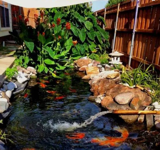 如果你在乡下有个院子,一定要这样设计!不用再考虑城里买房了