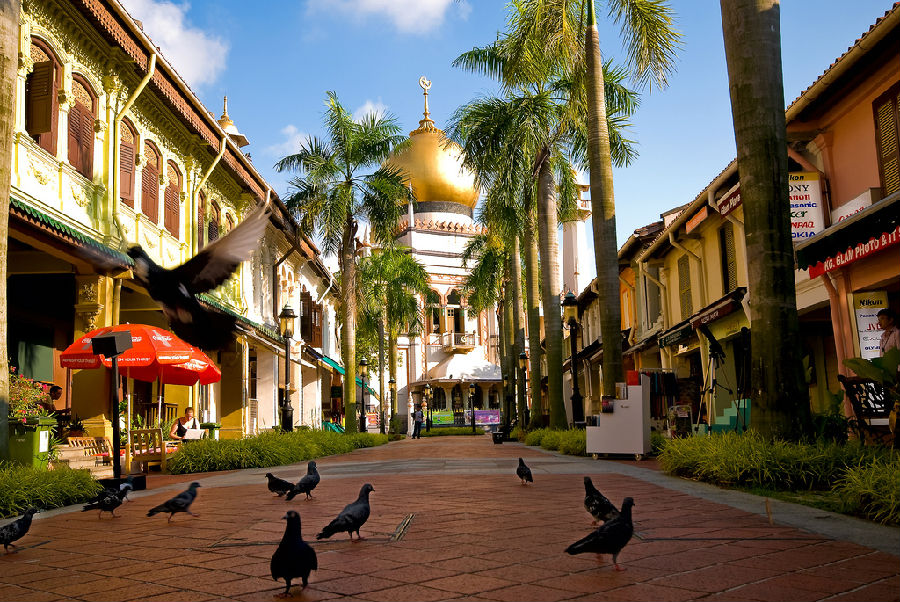 新加坡|去新加坡打工不赚钱? 看看有经验的求职者怎么说！