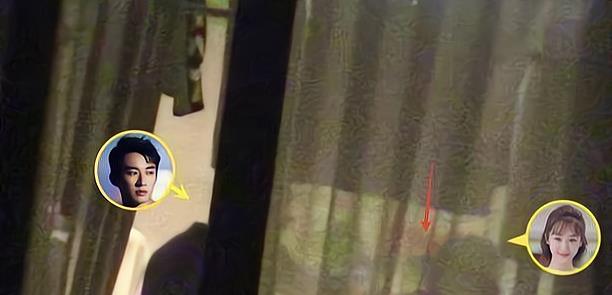 乔欣|杨紫曝光聊天记录，网友：时间天气都对不上，传播的为拼接动图