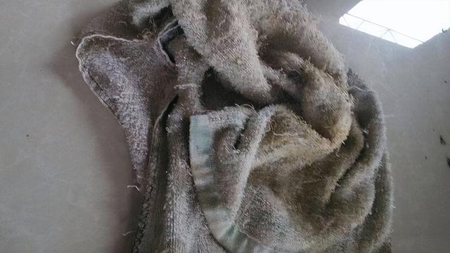 若不差钱,建议给独居的父母添置这5件东西,比给钱还孝顺