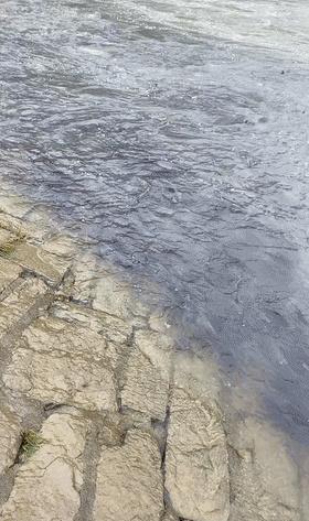 |献礼钓鱼人：禁捕过后鱼群成灾，赶快回家拿装备