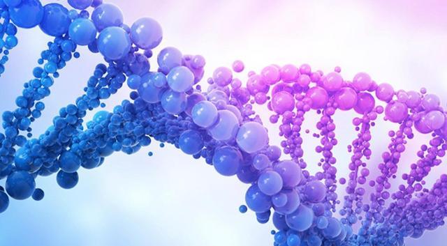 比“熊猫血”更罕见的“黄金血”,科学调查显示,仅50人有此血型