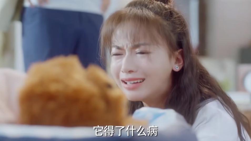 向风而行|哭不出来别硬演！《向风而行》三位演员登场，凭教科实力惊艳观众