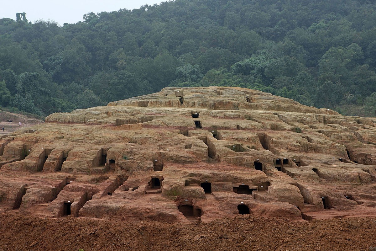 生物死后一般会生态循环,火化打破自然规律?人类火化太浪费?