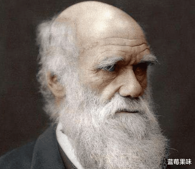 人类到底来自哪里?“古猿起源”和“外星起源”,哪个更靠谱?