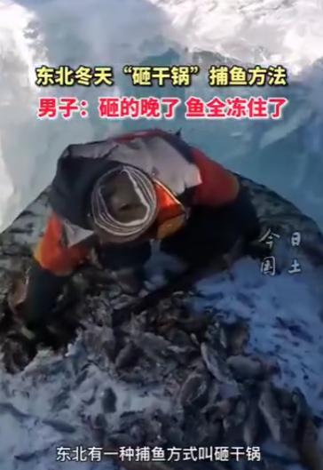 50多米全是鱼！黑龙江成群鱼被冻冰下，河水连底冻鱼去哪里避难？