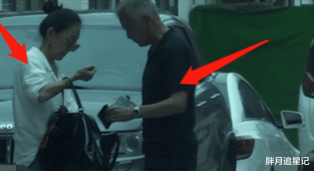 巫刚|和赵英离异后,守着不婚不育的陈瑾20年,巫刚到底图什么?