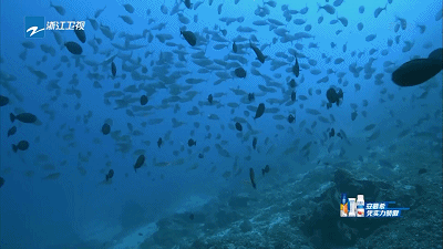 湖滨|一起旅行吧,了解真实的钟汉良