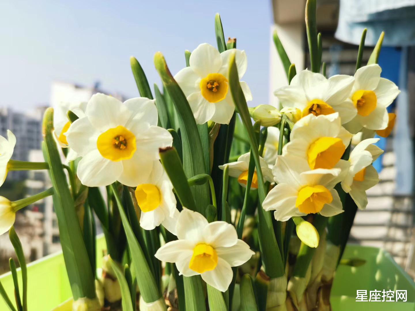 |哪几个时辰出生之人，遇到困难不要停止前进，未来有光，前途无限