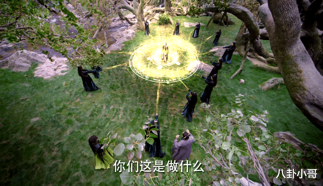 迪丽热巴|《与君初相识》刚开播，就被5星刷屏，网友的好评理由却出奇一致