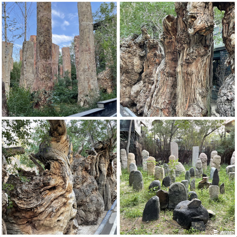 新疆维吾尔自治区|在新疆我实现了羊肉自由！顺便穿越了沙漠无人区
