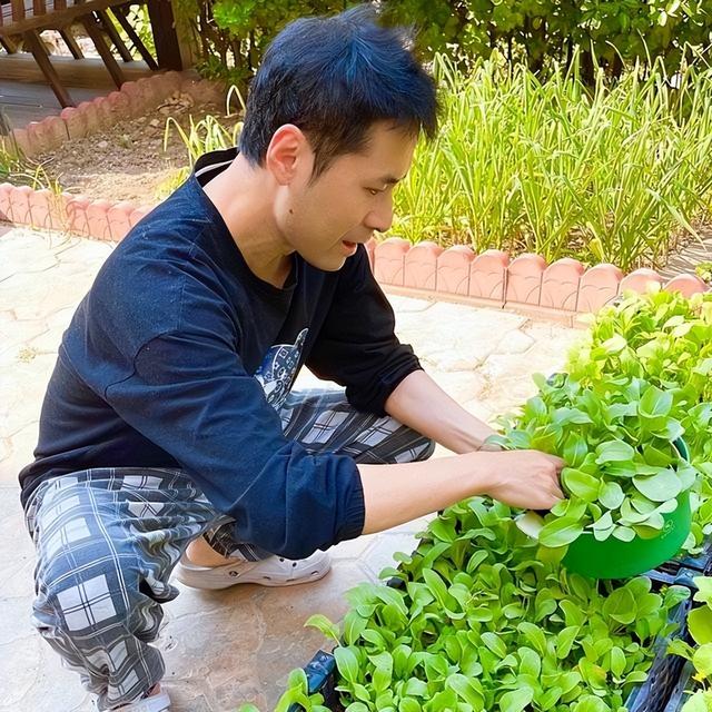 黄征|黄征在北京的家火了:低头种菜,抬头看花,简直就是“世外桃源”