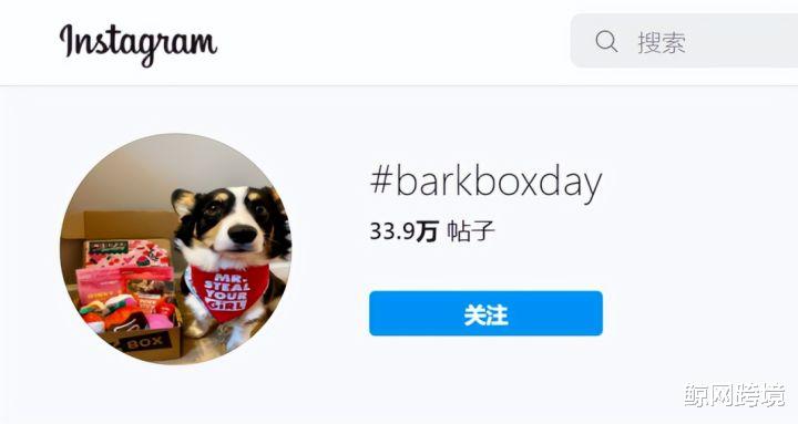 广角镜头|靠“盲盒营销”在TikTok大卖，这个品牌有什么营销秘诀？