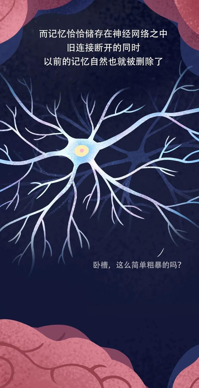 删除|你两岁之前那些“羞羞”的记忆，到底被谁“删除”了？（漫画）