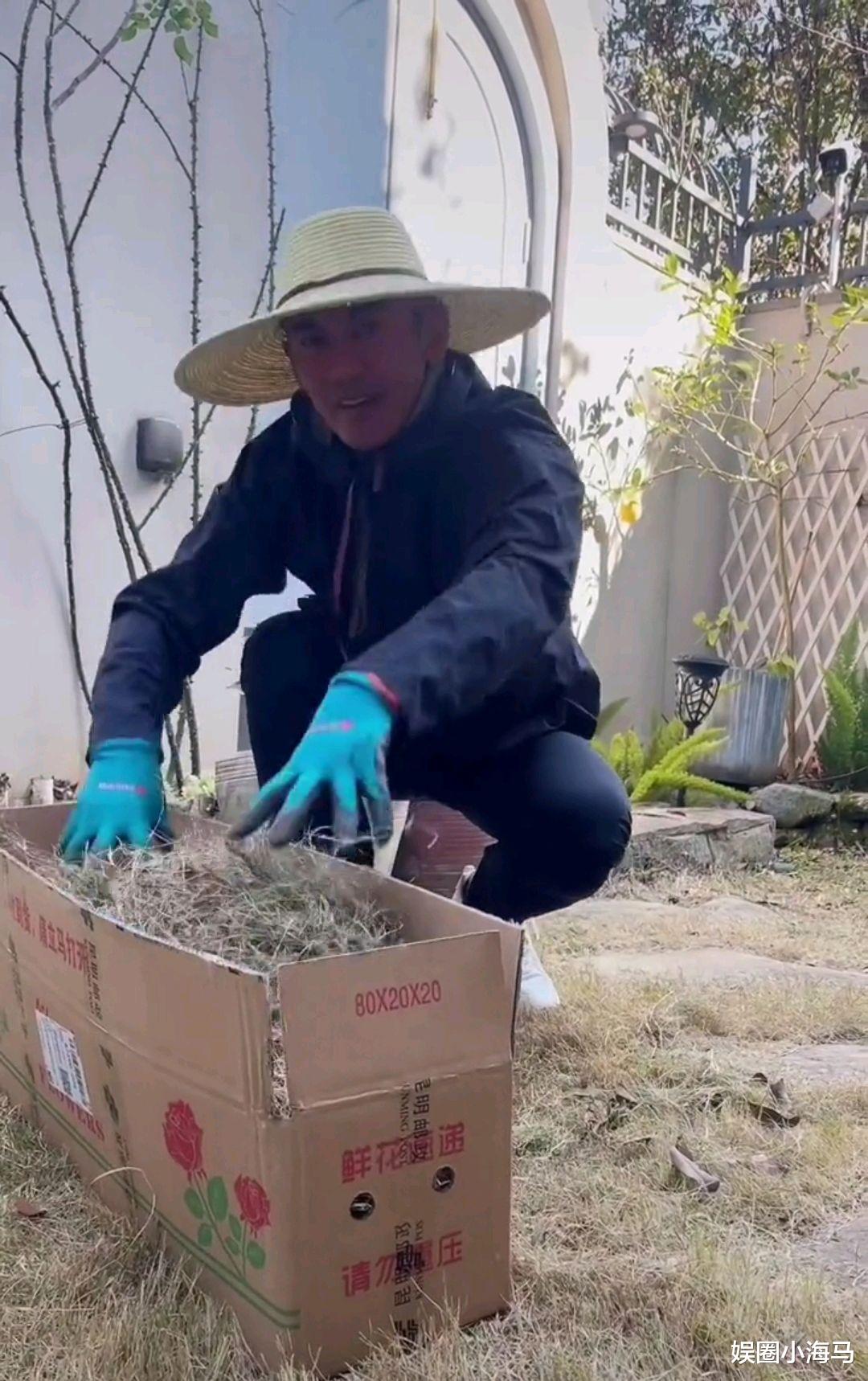 任天野|52岁任天野回农村过年,戴草帽清理花园,意外曝光三层小洋楼住宅