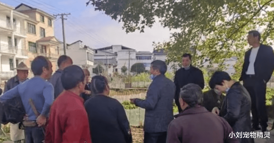江西“胡馨宇案”发生48天后,真凶呼之欲出?真相比想象中更无聊
