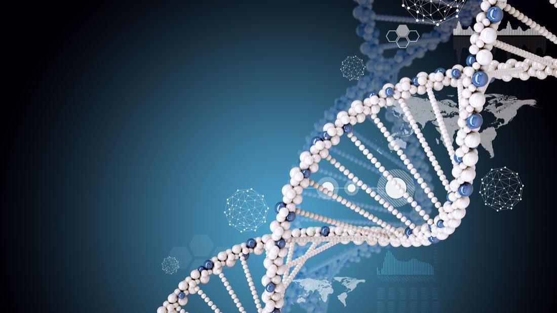 从非生殖细胞到生殖细胞，转基因人的最后一步