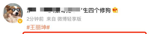 王丽坤|狗仔喊话王丽坤：向刘涛学习，替夫还债，已有46户人家讨债