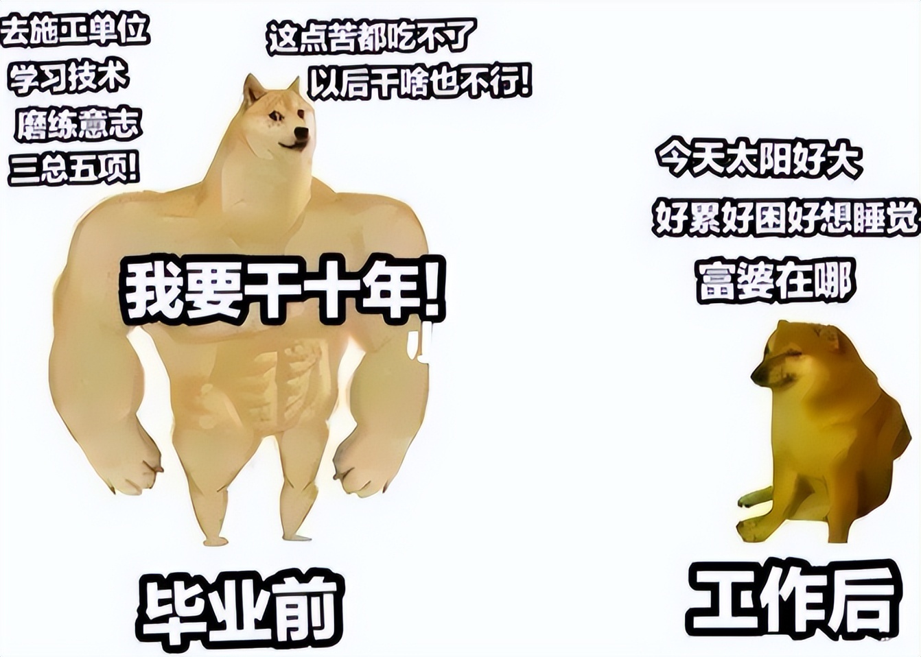 00后|大学生毕业前后的对比照,看完笑出眼泪,网友:这不就是我么?