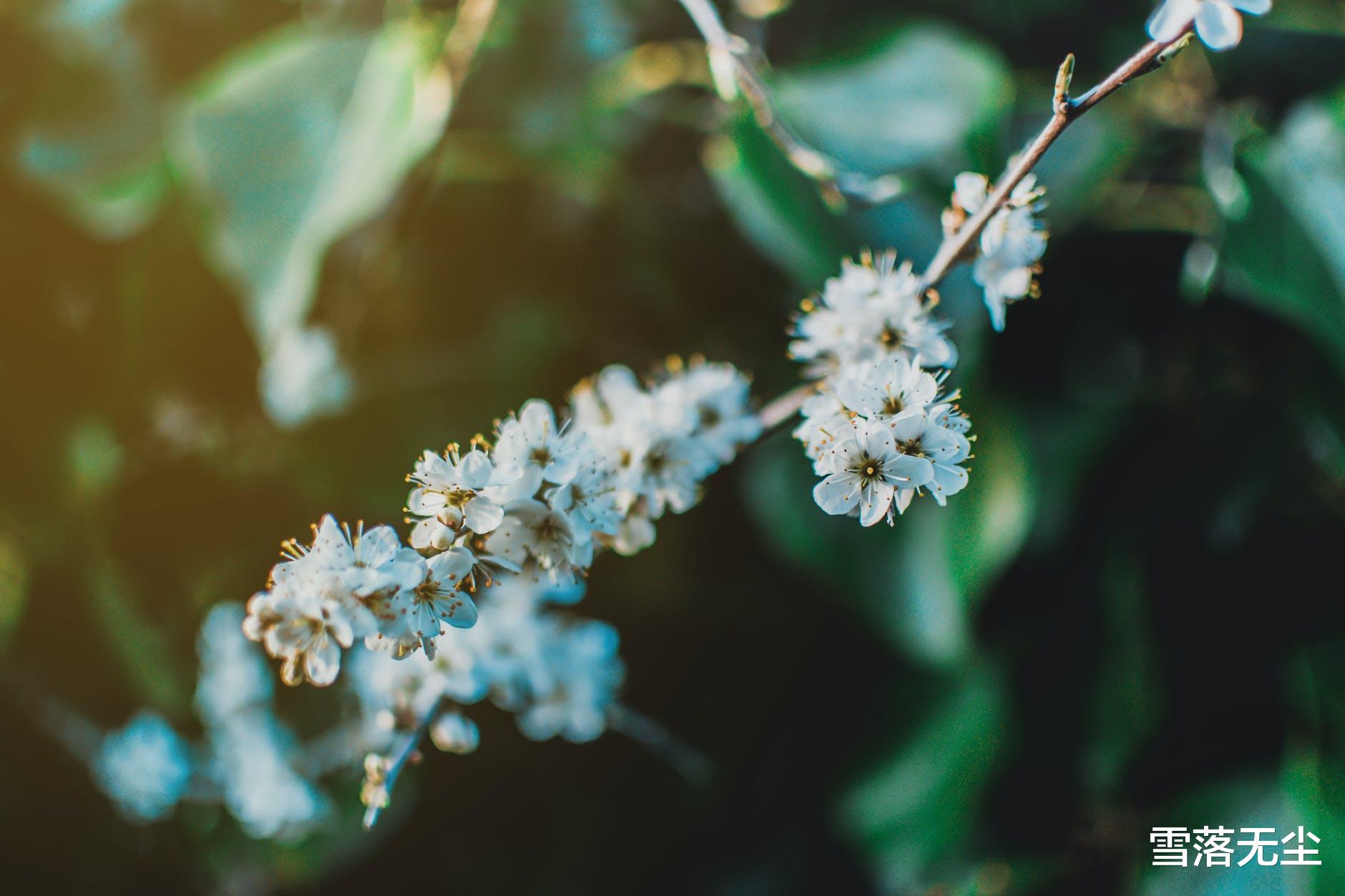 Angelababy|男人有如下特征，不但给不了你真爱，还会让你处处受气