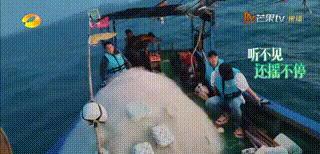 沙溢|《向往6》对节目组无语，沙溢晕船没人管，何炅张子枫打哈欠吃饭