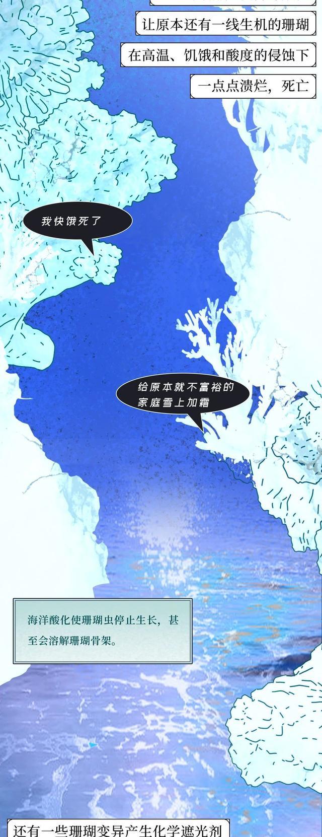 我在海底,目睹了世上最“残酷”的死亡……(漫画科普)涨知识!