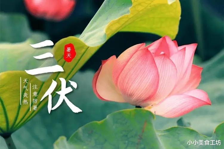 水果|建议中老年人:三伏天多吃这4种食物,养护心脏,身体更健康