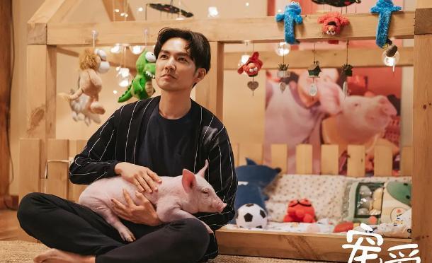 徐峥|徐峥新片虎口夺食！票房6连冠不说，更是创造了国产新纪录！