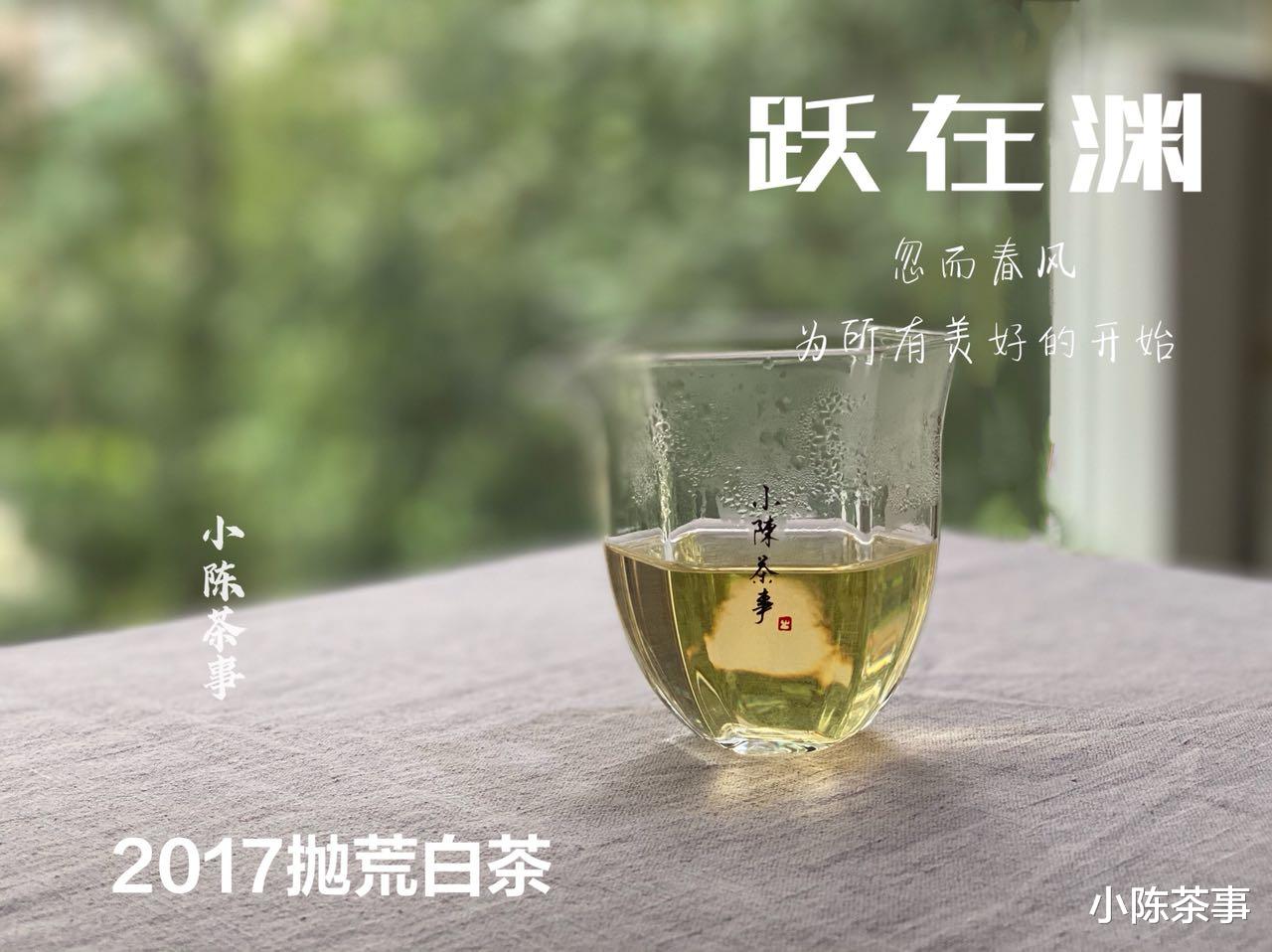 买白茶，你是看品牌？还是看品种？新手怎么买到货真价实的好茶？