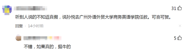 孙悦|孙卓姐姐孙悦任教学校曝光，商英大学排名前3，网友：实至名归？