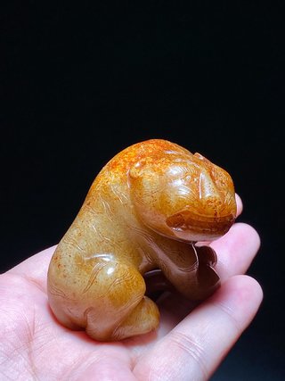 钱币|辽金 和田玉籽料 白玉受沁 玉虎 秋山虎 摆件 把件