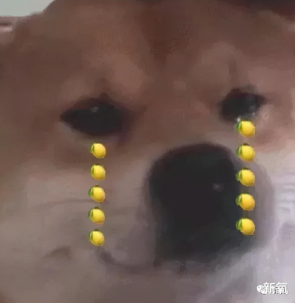 红毯酒窝是什么鬼？现在的女明星也太卷了吧！