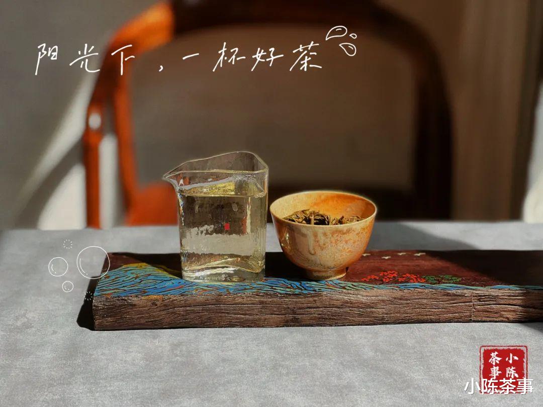 口粮茶只要挑便宜的，价格越低越划算？难怪你一直喝不懂白茶