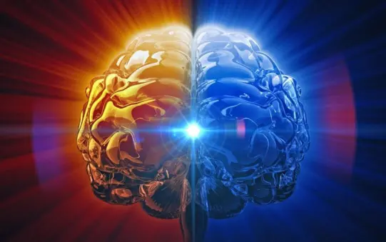 解密!左撇子真的比右撇子更聪明吗?真相比你想的复杂的多