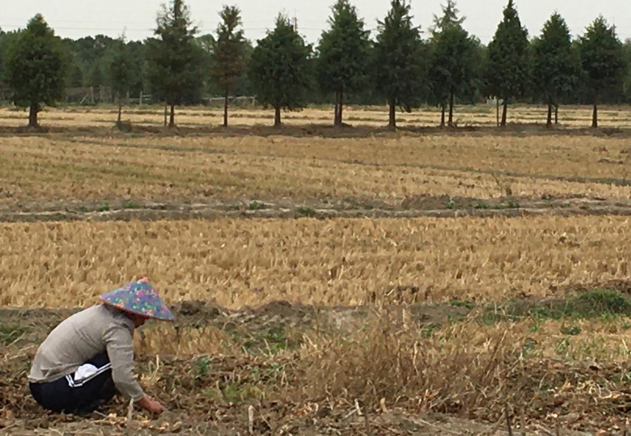 湖南男子为妻女断腿，被惨遭抛弃，2018年寻亲未果将遗产赠与继子