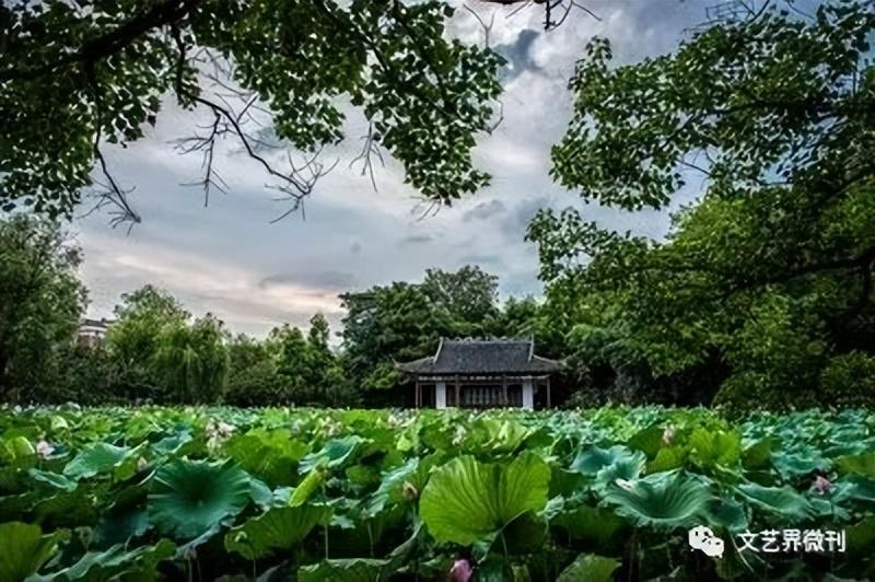 锦溪镇|郭进拴|锦溪镇美韵